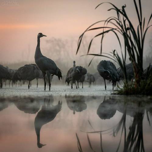  دستانم شده سمت خدا رو به دعا بعد نیاز میگویم خدا بزن به قلب تورو ای گل نازم